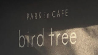 bird tree（バードツリー）｜吹田千里南公園にお洒落カフェができた！